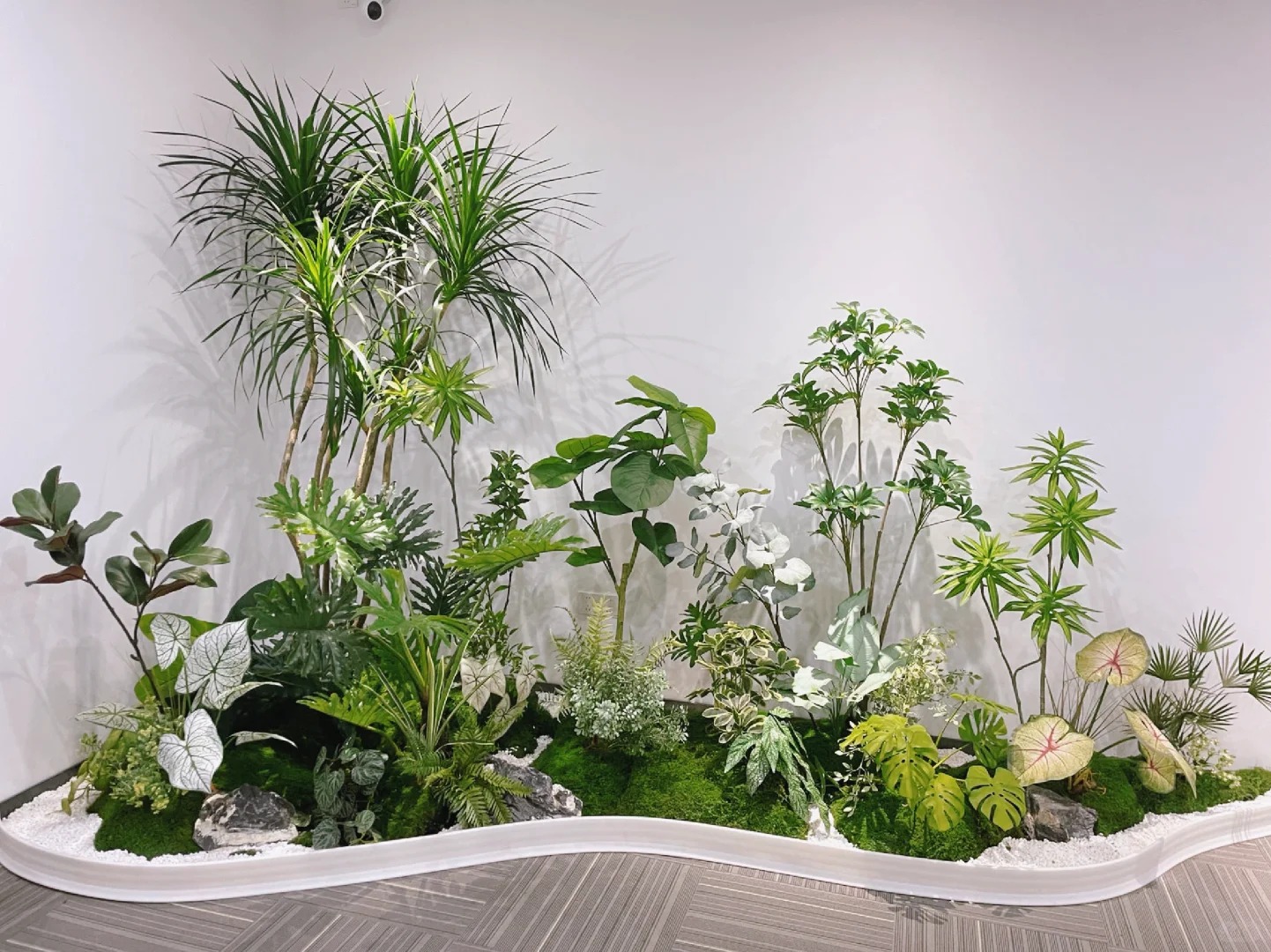 专业花木租摆鄞州行，品质服务超贴心